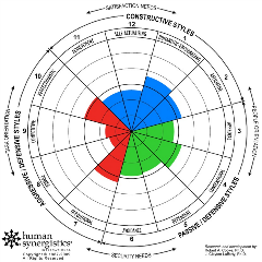 Case Study - Care Options 2015 Circumplex Only