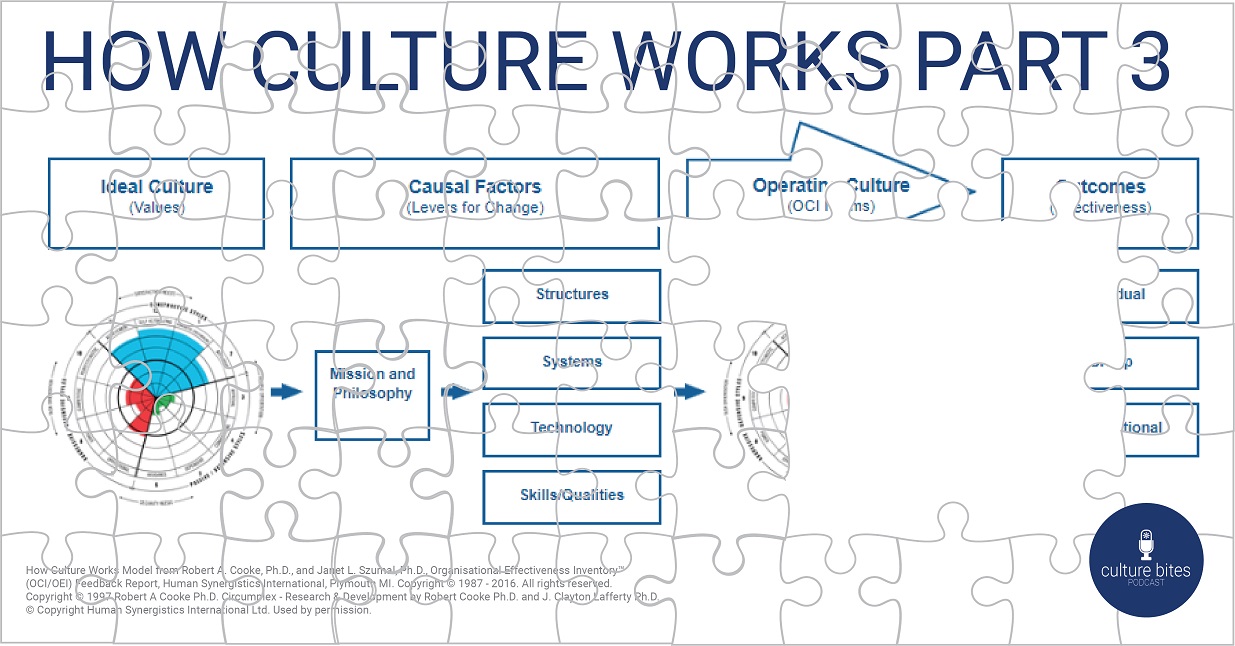 How Culture Works Jigsaw PT 3