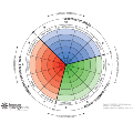 The-Circumplex-Human-Synergistics-ANZ-Transparent-Background-600x600px